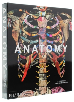 Паперова книга «Anatomy. Exploring the Human Body» - фото №3 - мініатюра