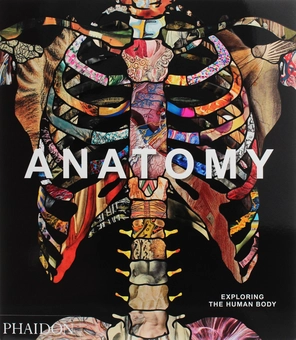 Паперова книга «Anatomy. Exploring the Human Body» - фото №1 - мініатюра