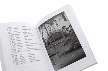 Paper book «Особливості перекладу японських науково-технічних текстів українською мовою», author Андрей Медведив (Романович, японистика) / Андрій Медведів /  - фото №5 - миниатюра
