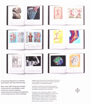 Паперова книга «Anatomy. Exploring the Human Body» - фото №4 - мініатюра
