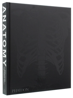 Паперова книга «Anatomy. Exploring the Human Body» - фото №5 - мініатюра