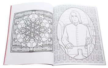 Паперова книга «Harry Potter Magical Places and Characters Colouring Book», автор Джоан Ролінґ - фото №5 - мініатюра