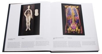 Паперова книга «Anatomy. Exploring the Human Body» - фото №7 - мініатюра