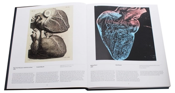 Паперова книга «Anatomy. Exploring the Human Body» - фото №8 - мініатюра