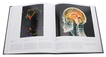 Паперова книга «Anatomy. Exploring the Human Body» - фото №9 - мініатюра