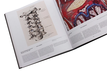 Паперова книга «Anatomy. Exploring the Human Body» - фото №13 - мініатюра
