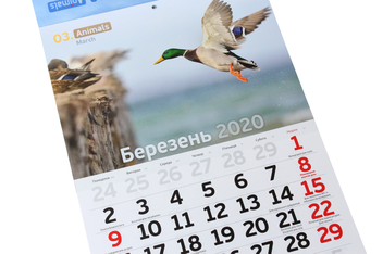 Бумажная книга «Календар на 2020. Світовид. Animals» - фото №4 - миниатюра