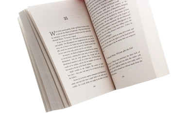 Паперова книга «A Demon in Silver», автор Річард Форд - фото №5 - мініатюра