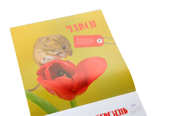 Бумажная книга «Календар на 2020. Свято кожен день. Рік миші. Кумедні мишки» - фото №6 - миниатюра