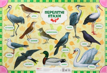 Бумажная книга «Лепбук. Осінь» - фото №6 - миниатюра