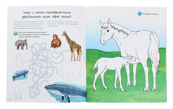 Бумажная книга «Чому? Чого? Навіщо? Малята тварин. Інтерактивна книжка для дітей віком від 4 до 7 років», автор Штефан Рихтер - фото №3 - миниатюра