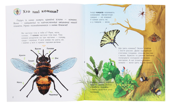 Бумажная книга «Комахи. Енциклопедія дошкільника », автор Юлия Каспарова - фото №3 - миниатюра