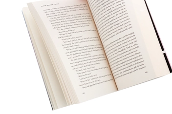 Бумажная книга «Marilou is Everywhere», автор Сара Элейн Смит - фото №5 - миниатюра
