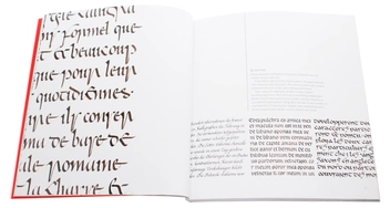 Паперова книга «Calligraphy. A Book of Contemporary Inspiration», автор Деніз Лах - фото №5 - мініатюра