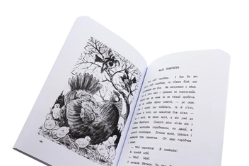 Бумажная книга «Наші скарби. Читанка для розвитку української мови», авторов Ксения Турко, О. Грекул - фото №5 - миниатюра