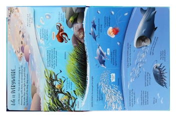 Паперова книга «See Inside Oceans», автор Эмілі Боун - фото №5 - мініатюра
