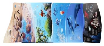 Паперова книга «See Inside Oceans», автор Эмілі Боун - фото №6 - мініатюра
