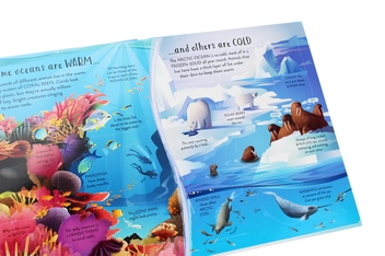 Паперова книга «See Inside Oceans», автор Эмілі Боун - фото №7 - мініатюра