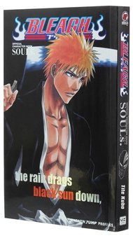 Паперова книга «Bleach SOULs. Official Character Book», автор Тайто Кубо - фото №3 - мініатюра