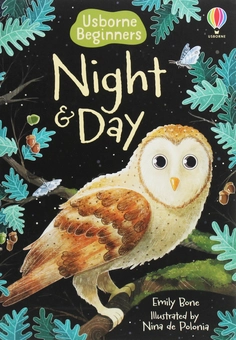 Паперова книга «Night and Day», автор Эмілі Боун - фото №1 - мініатюра