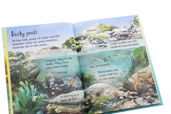 Бумажная книга «On the Beach», автор Эмили Боун - фото №5 - миниатюра