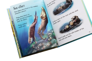 Бумажная книга «On the Beach», автор Эмили Боун - фото №6 - миниатюра