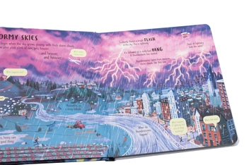 Бумажная книга «Look Inside Wild Weather», автор Эмили Боун - фото №5 - миниатюра