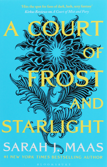 Бумажная книга «A Court of Thorns and Roses (комплект із 4 книг)», автор Сара Дж. Маас - фото №11 - миниатюра