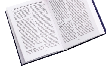 Бумажная книга «Виборча кампанія. Словник сленгових термінів та виразів», автор Владимир Нестерович - фото №6 - миниатюра