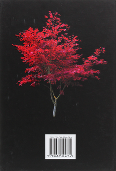 Паперова книга «Екзотичні дерева, кущі та ліани в ландшафтах України», автор Юлія Сударикова - фото №2 - мініатюра