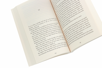 Бумажная книга «Into the Labyrinth», автор Донато Карризи - фото №5 - миниатюра
