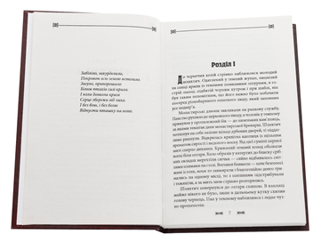 Бумажная книга «Лицарка Корони», автор Анна Гороженко - фото №4 - миниатюра