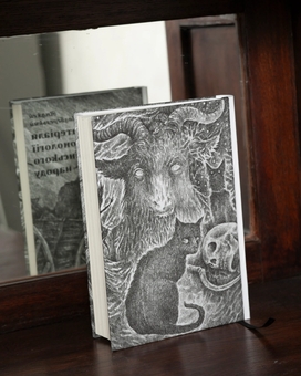 Бумажная книга «Матеріали з демонології українського народу», автор Анджей Подберезский - фото №3 - миниатюра