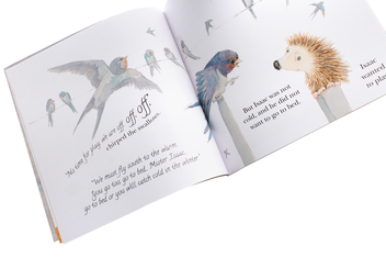 Бумажная книга «Wide-awake Hedgehog», автор Рози Уэллсли - фото №4 - миниатюра