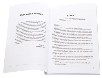 Паперова книга «Пригоди Тома Сойєра», автор Марк Твен - фото №4 - мініатюра