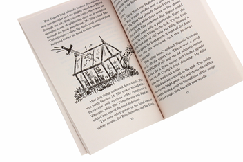 Паперова книга «Viking at School», автор Джеремі Стронг - фото №4 - мініатюра