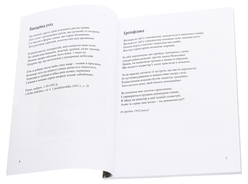 Паперова книга «Жар-Птах. Вибрані поезії», автор Зузанна Ґінчанка - фото №4 - мініатюра