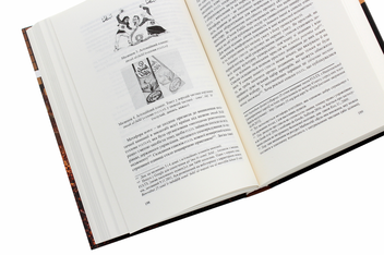 Бумажная книга «Імена революції. Дискурс Арабської весни», автор Александр Богомолов - фото №6 - миниатюра