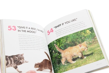 Бумажная книга «Cat Body Language.100 Ways to Read Their Signals», автор Тревор Уорнер - фото №5 - миниатюра