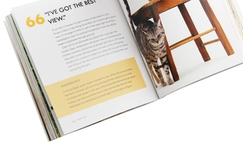 Бумажная книга «Cat Body Language.100 Ways to Read Their Signals», автор Тревор Уорнер - фото №6 - миниатюра
