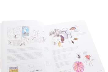 Паперова книга «Painting Nature's Details», авторів Мериель Турстан, Розі Мартін - фото №7 - мініатюра