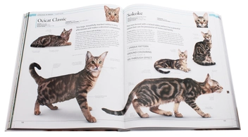 Паперова книга «The Cat Encyclopedia» - фото №5 - мініатюра