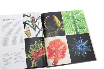 Паперова книга «Botany for the Artist», автор Сара Сімблет - фото №5 - мініатюра