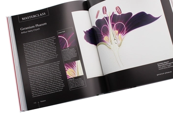 Паперова книга «Botany for the Artist», автор Сара Сімблет - фото №6 - мініатюра