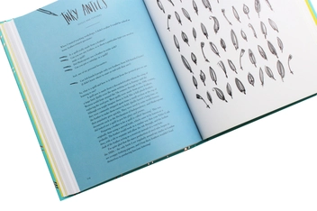 Паперова книга «Modern Lettering. A Guide to Modern Calligraphy and Hand Lettering», автор Ребекка Кехілл Рутс - фото №6 - мініатюра