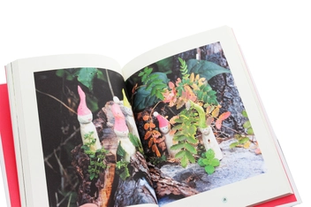 Бумажная книга «The Danish Art of Whittling», автор Френк Еггольм - фото №6 - миниатюра