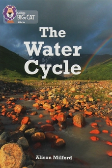 Бумажная книга «The Water Cycle», автор Элисон Милфорд - фото №1 - миниатюра