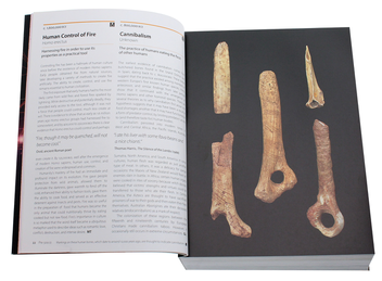 Паперова книга «1001 Ideas that Changed the Way We Think», автор Роберт Арп - фото №4 - мініатюра