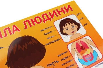 Паперова книга «Будова тіла людини. Плакат» - фото №3 - мініатюра