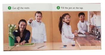 Паперова книга «Look at the shoots! Collins Big Cat Phonics for Letters and Sounds. Band 02b/Red B», автор Клер Велш - фото №4 - мініатюра